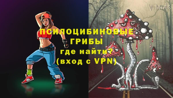 ГАЛЛЮЦИНОГЕННЫЕ ГРИБЫ Мурманск