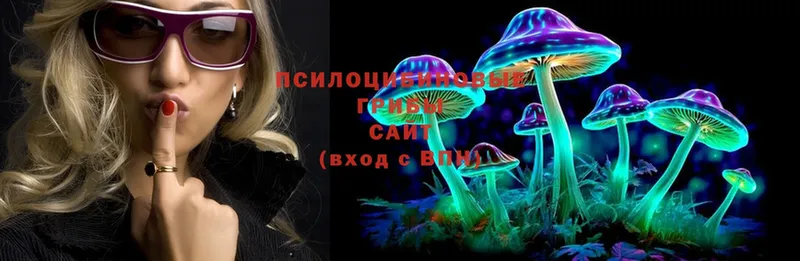 кракен ССЫЛКА  Полярный  Псилоцибиновые грибы Cubensis 